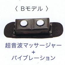 Bモデル
